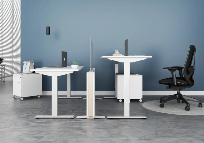 Friant Sit-stand Desks
