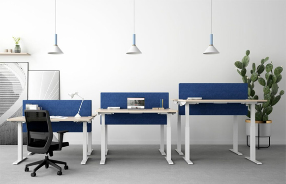 Height Adjustable Ergonomic Desk